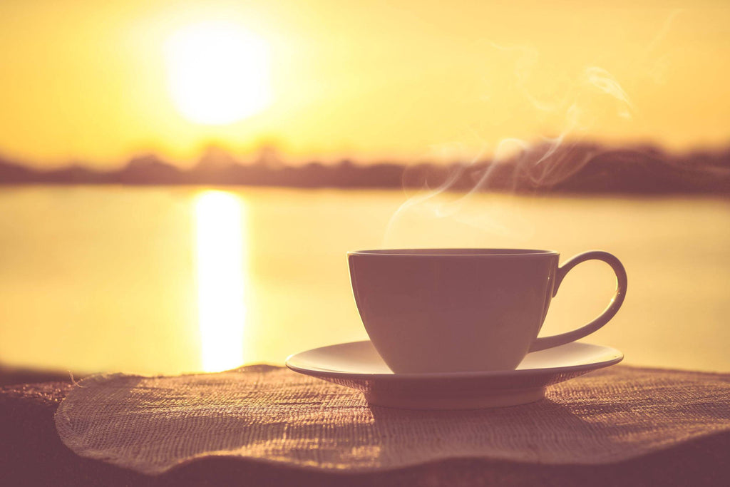 Why Perk is the Perfect Way to Jumpstart Your Day
