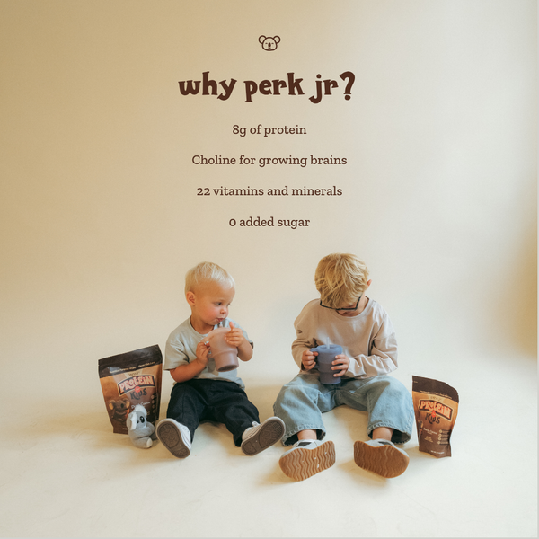 Perk Jr Protein for Kids